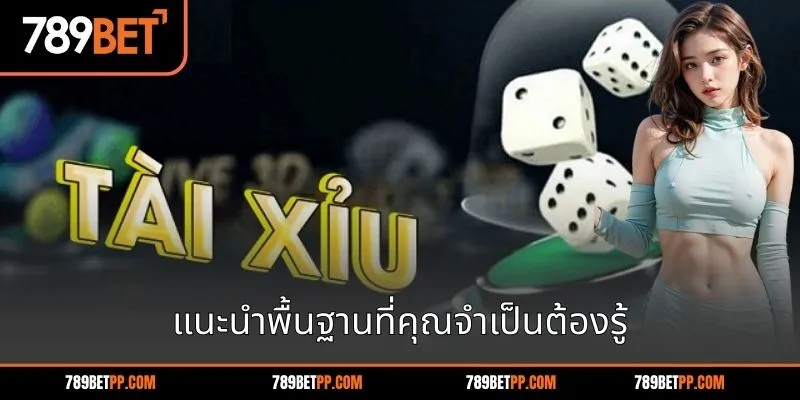 แนะนำพื้นฐานที่คุณจำเป็นต้องรู้